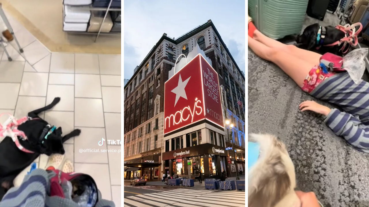 Why This Macy’s Manager’s Mistake Has Everyone Talking – And What It Means for Service Dog Rights!