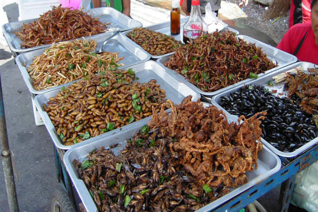 Fried Scorpions – Arizona State Fair